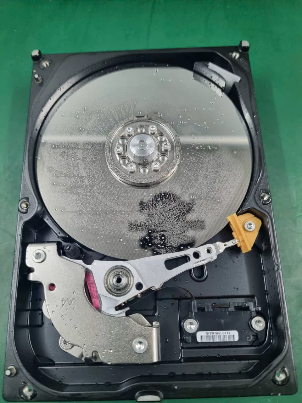 Khôi phục thành công ổ cứng WD 1TB Blue HDD bị ngập nước hơn 1 tháng